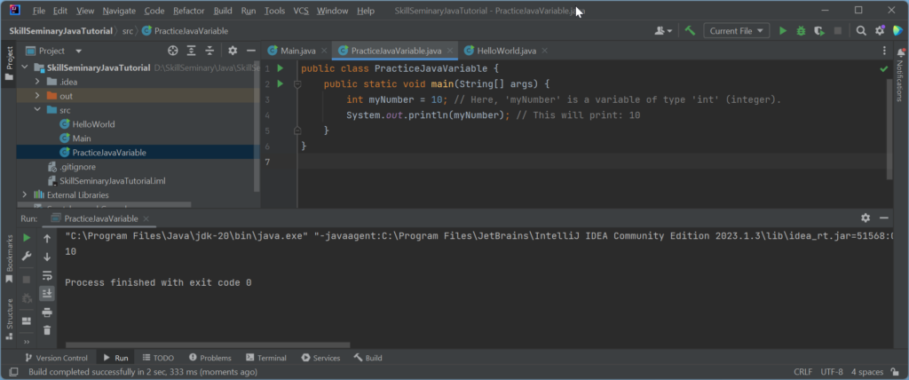 Run Java code to understand the concept of variable