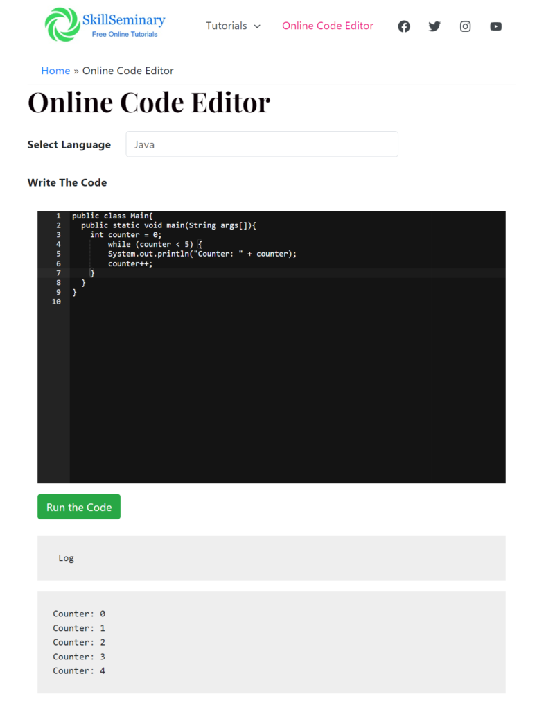 How to run the code with a java while loop